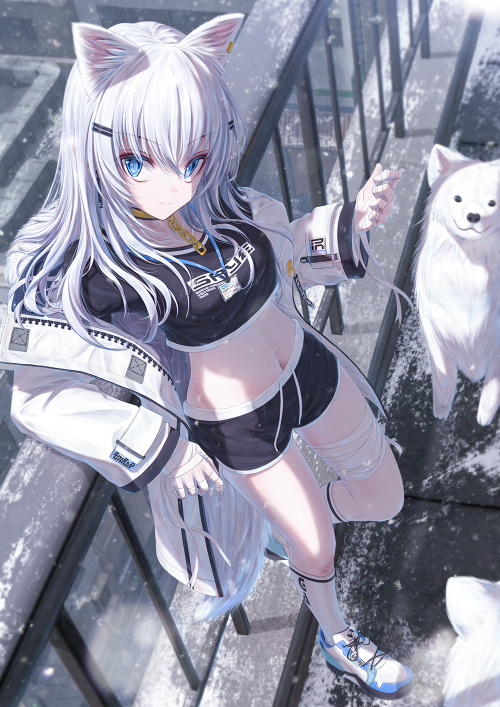 77112337_p0.png