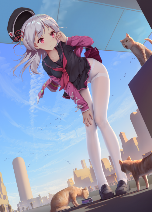 84560314_p0.png