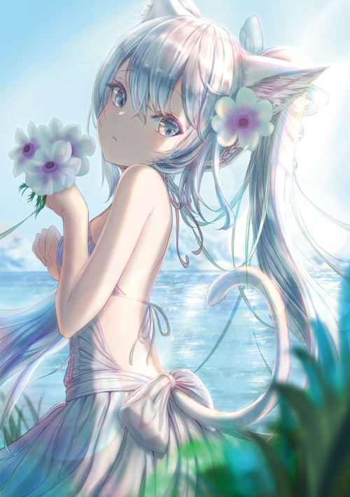 84777051_p0.png