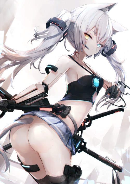 85264477_p0.png