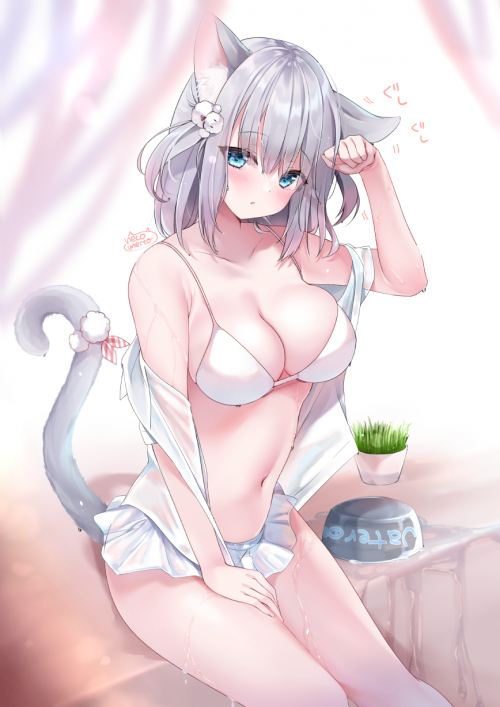 85787146_p0.png