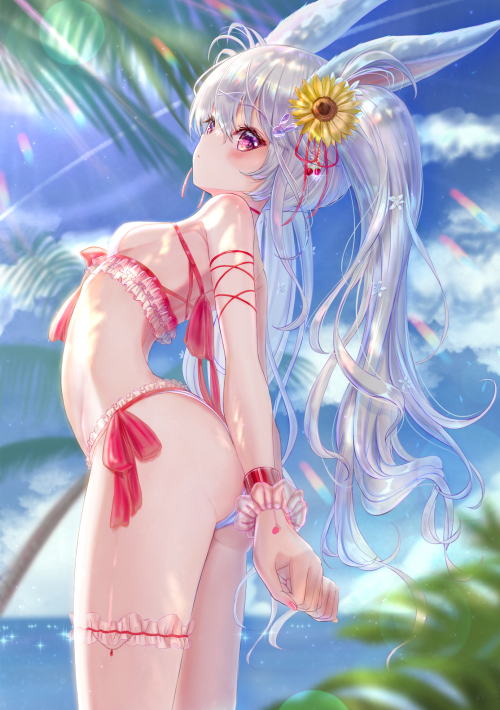 86560114_p0.png
