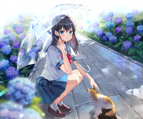 91587697_p0.png