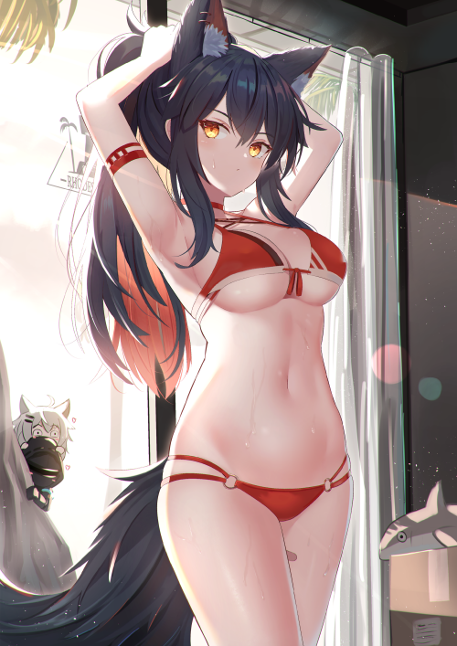 93566578_p0.png